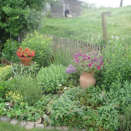 B&B Au Pont D'Arcole